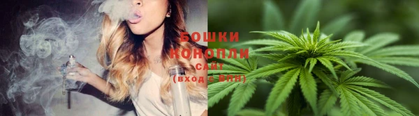 молекула духа Волоколамск