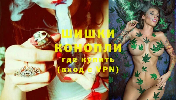 spice Володарск