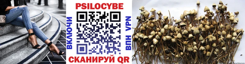 mega маркетплейс  Власиха  Псилоцибиновые грибы Psilocybine cubensis  купить наркоту 